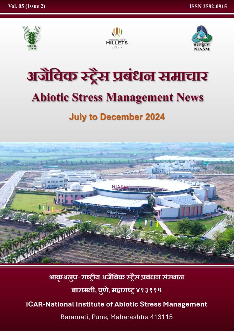 Newsletter
