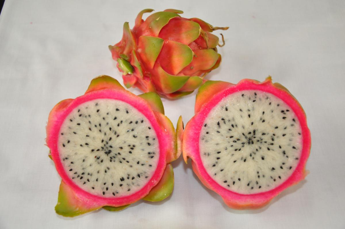 Dragon Fruit Cut section