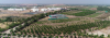 Aerial View of NIASM Orchard