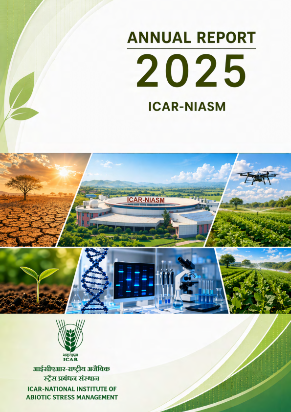 Annual Report 2025