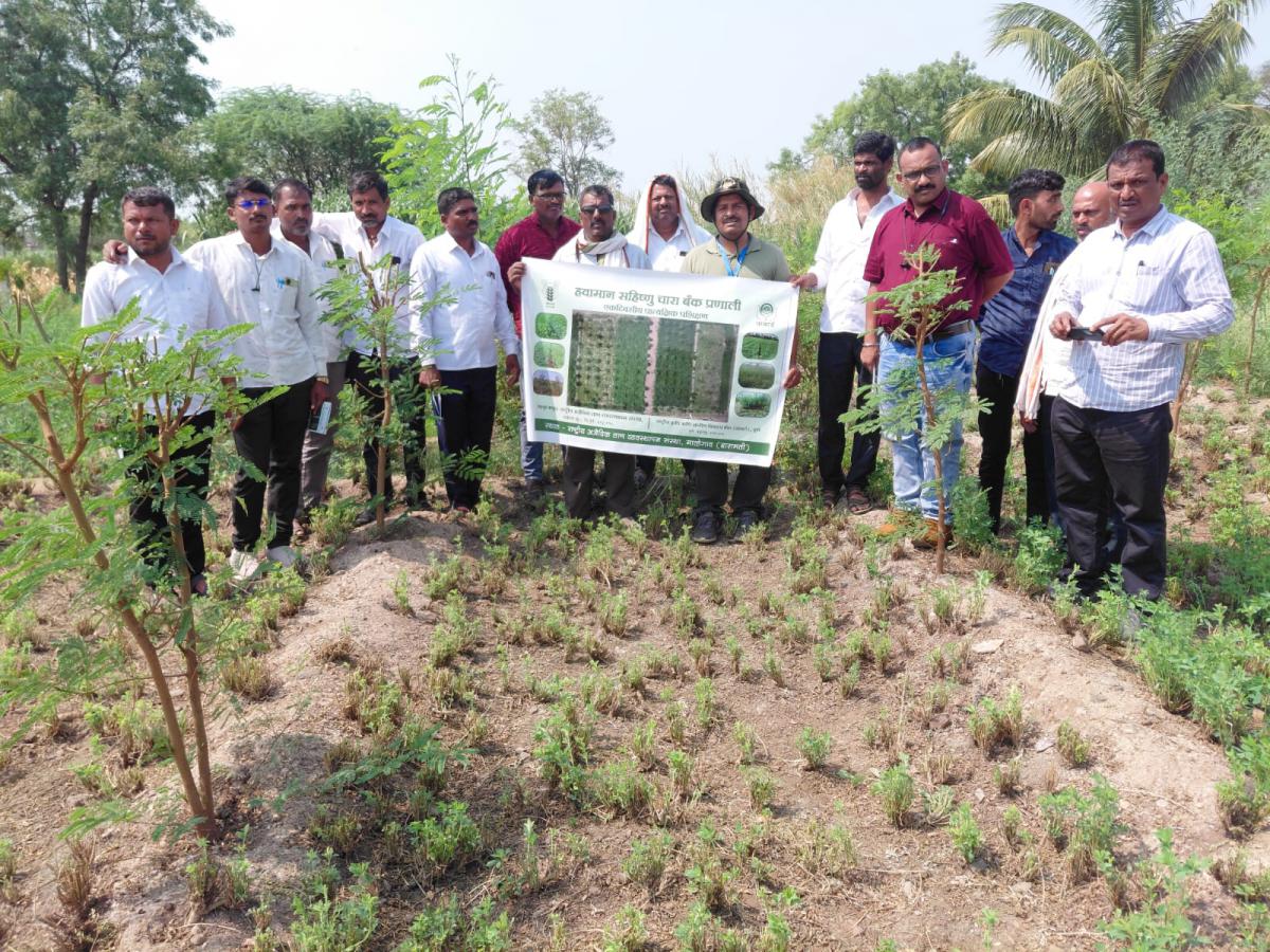 Hands on Training on Climate-Resilient Fodder Systems for Drought ...