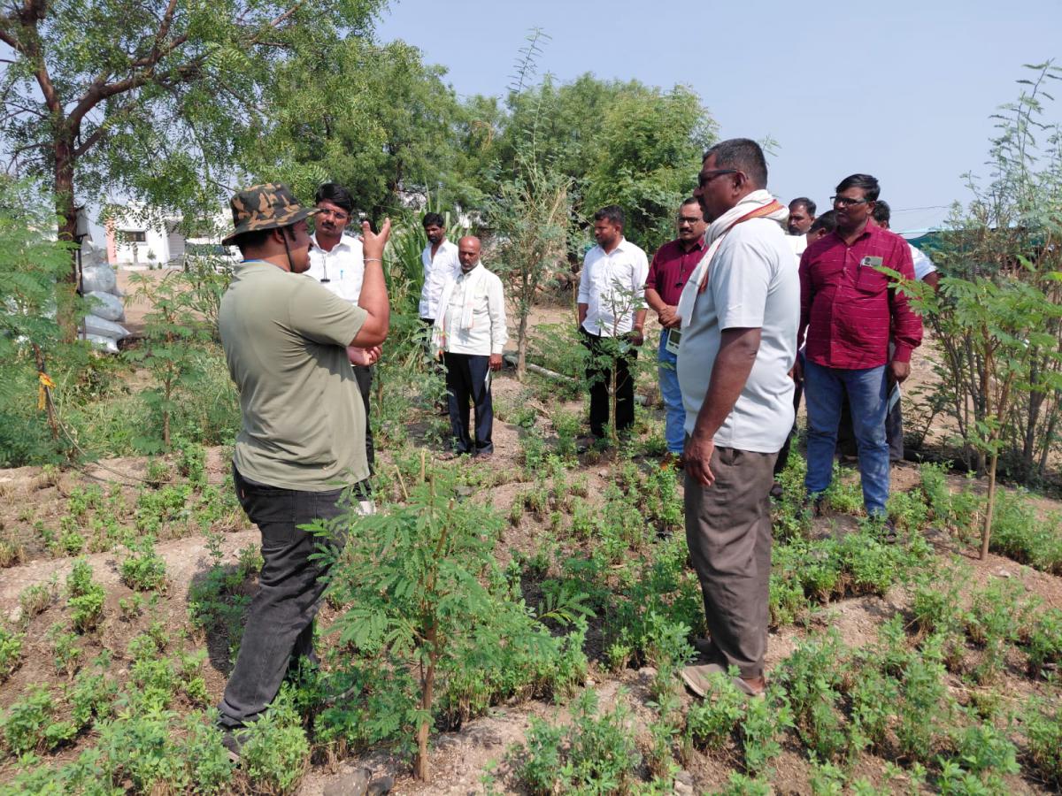 Hands on Training on Climate-Resilient Fodder Systems for Drought ...